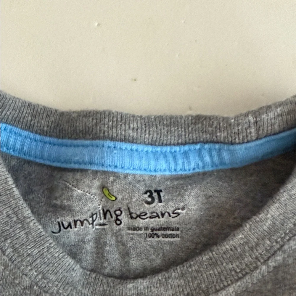 Jumping Beans Gray Long Sleeve Shirt Boys 3T